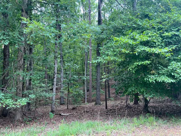 20 Vista Wood Dr, Dadeville, AL 36853