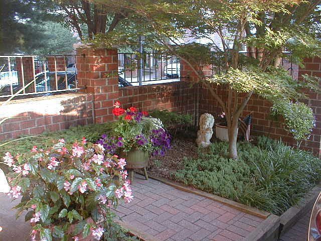 Court Yard