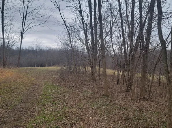 0 Sine Rd, Auburn, NY 13021