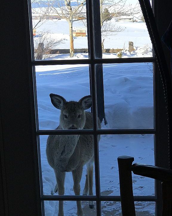1st image of 35 Pheasant Dr