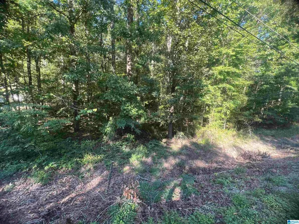 Sylvia Dr Lot 15, Mc Calla, AL 35111