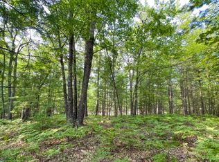 15 E Fairway Dr, Spruce, MI