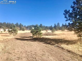 412 Obsidian Dr, Florissant, CO 80816