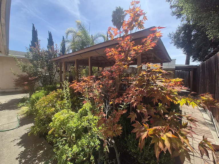 Cherry St — Photo 14
