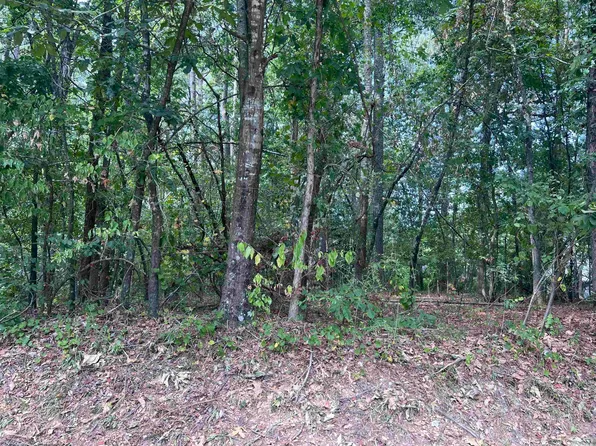 0 Garden Oaks Dr, White Hall, AR 71602