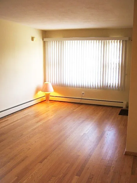 1 bed, $950 — Photo 2