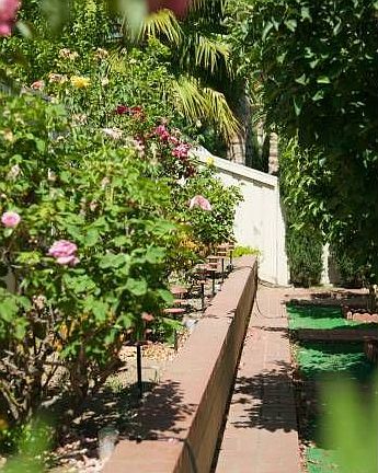 Backyard-4