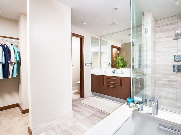 Master bathroom and walk-in 