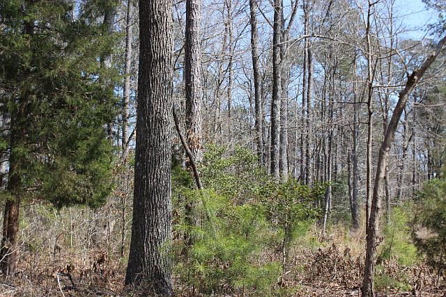 1st image of 2200 Spinnaker St Lot 2200