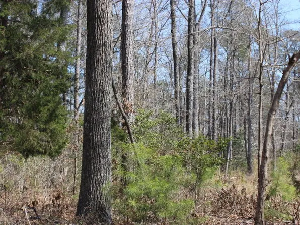 2200 Spinnaker St Lot 2200, Greenbackville, VA 23356