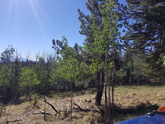 3rd image of 156 Rock Dr