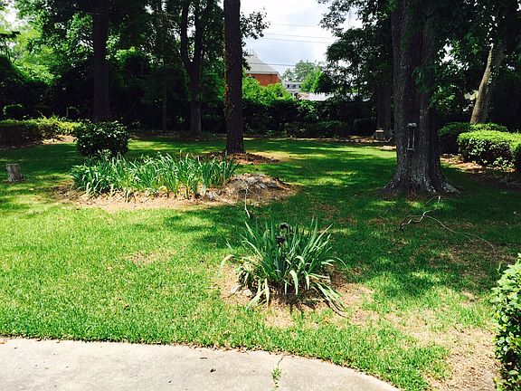 image_06122015