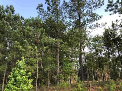 0 Ted Dunn Blvd, Eatonton, GA, 31024