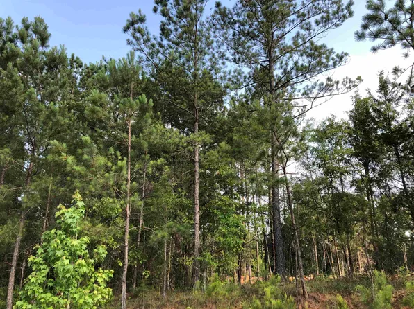 0 Ted Dunn Blvd, Eatonton, GA 31024