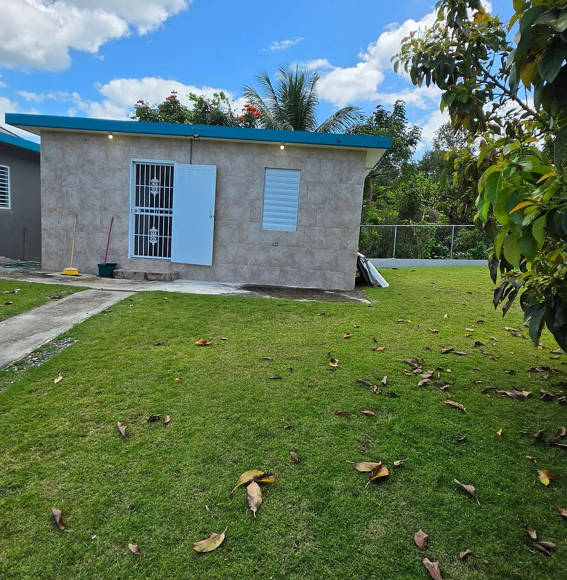 1 bed, 1.0 bath, 350 sqft, $800 — Photo 4