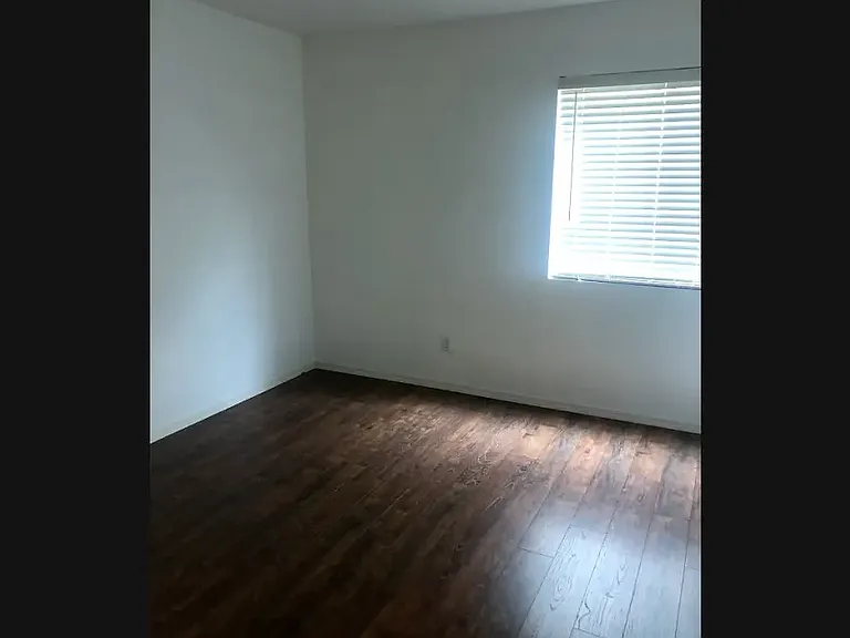 223 Misty Garden St — Photo 6