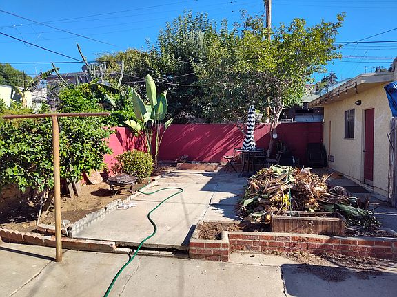 Backyard 2025 - The palm tree needed a major trim/haircut - we will dispose of that pile of palm branches on Friday. More photos to follow soon!