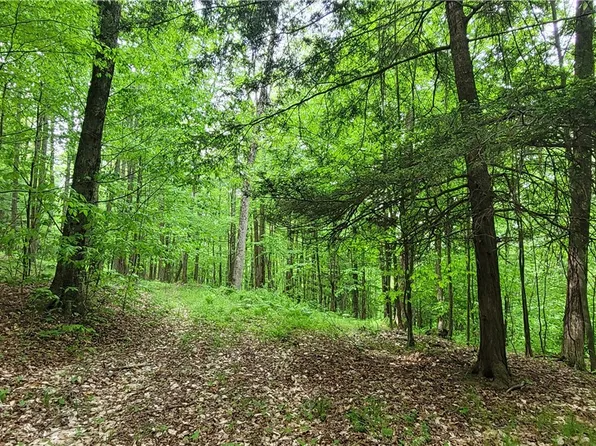 1425 State Route 417 #6, Greenwood, NY 14839