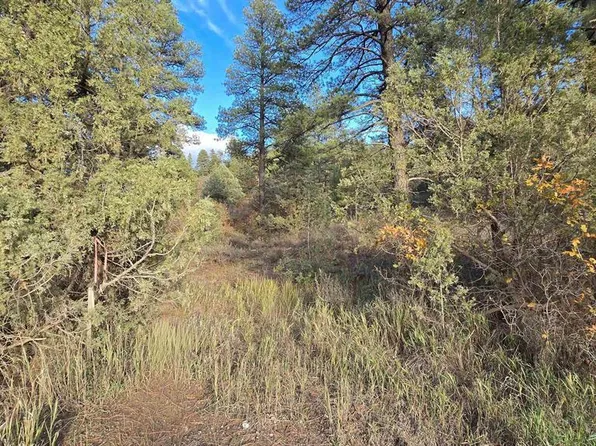 244 Ute Drive, Pagosa Springs, CO 81147