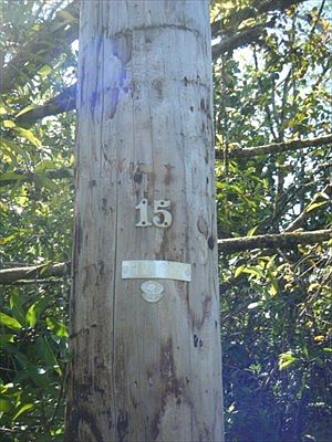 2nd image of 15th Ave Lot 815