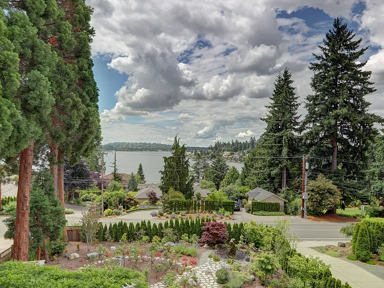 Front yard