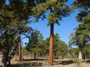 2544 Kettle Way, Happy Jack, AZ 86024