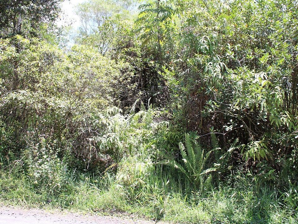 1st image of 37th Ave Lot 53