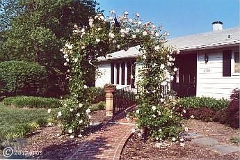 1st image of 506 Ashberry Ln
