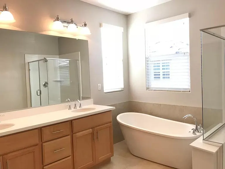 master bathroom tub