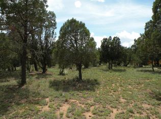 2928 Wildcat Trl, Overgaard, AZ 85933