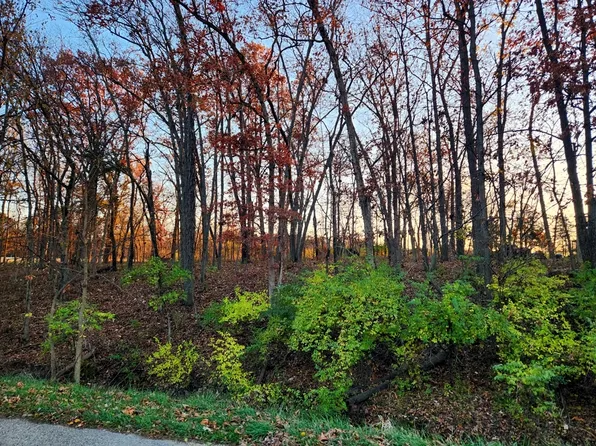 833 Lake Wildwood Dr, Varna, IL 61375