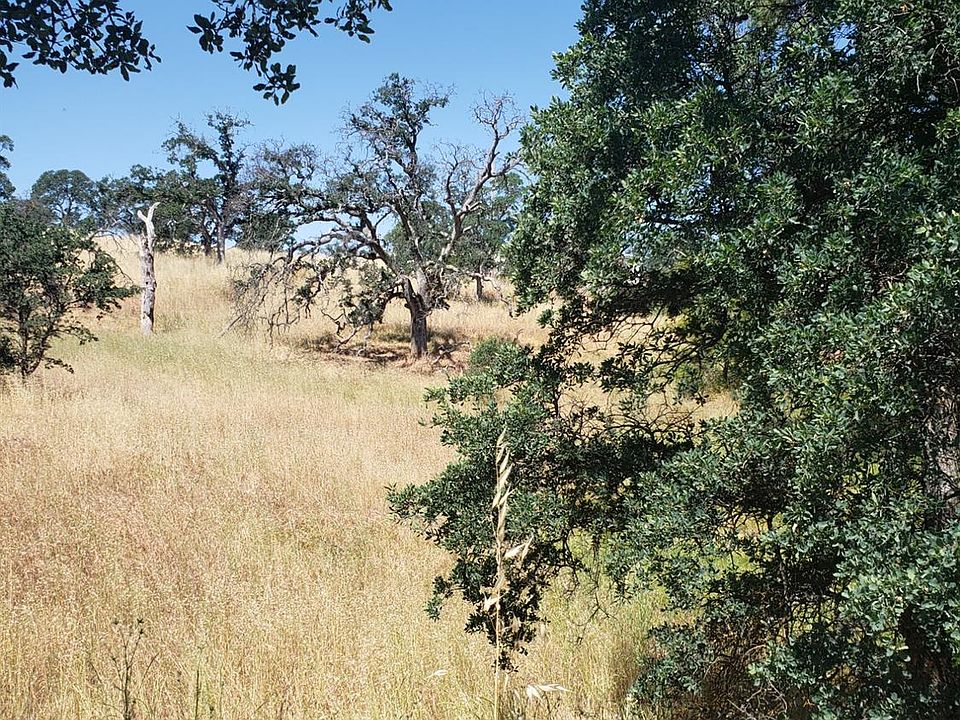 2nd image of 10373 Jalapa Way