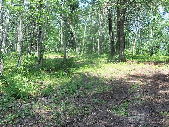 4th image of Lot 6 Birch Tree T Trail