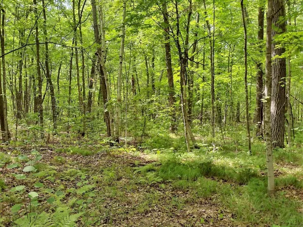 X Dunn Ave S, Onamia, MN 56359