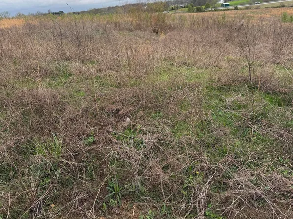 121 Diamond Ct, Vine Grove, KY 40175