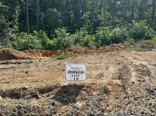 12 The Mdws, Riceville, TN 37370