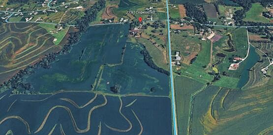 2nd image of Dogwood Rd