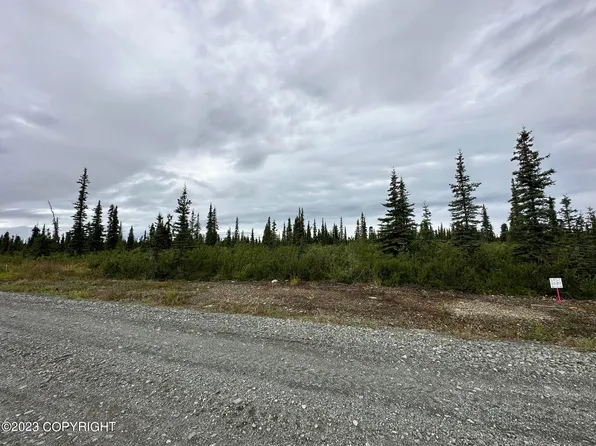 49212 S Timberwolf Rd, Sutton, AK 99674