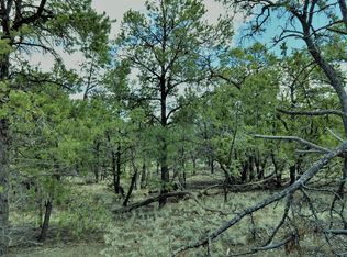 LOT 174 Papoose Pl, Datil, NM 87821