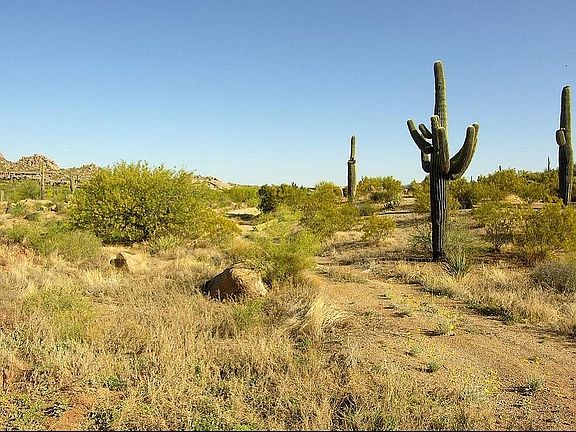 4th image of 11000 E Bajada Dr