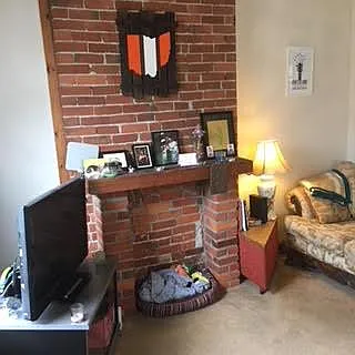 Front door entrance into living room.