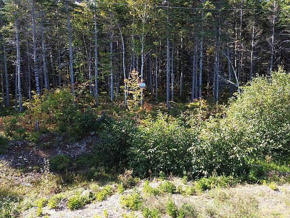 5th image of Marble Mountain Rd