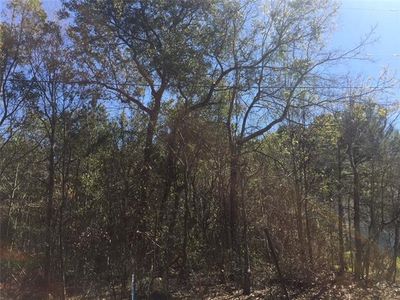 E Terrace Ave, Slidell, LA, 70458