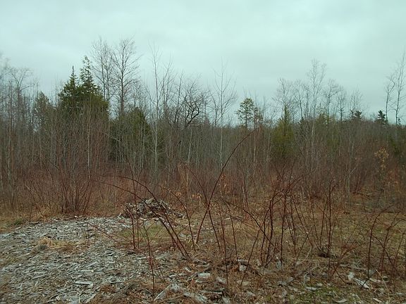4th image of 60 Clements Road