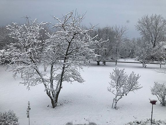 3rd image of 7210 Eagle Crest Dr
