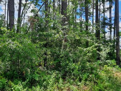 0 Baymeadows Dr W, Douglas, GA, 31535