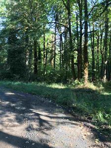E Brightwood Loop Rd, Brightwood, OR, 97011