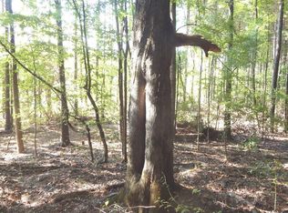 404 247 Country Rd, Bruce, MS 38915