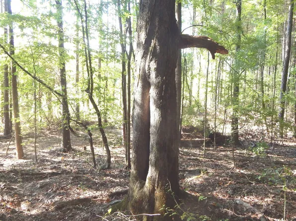 404 247 Country Rd, Bruce, MS 38915