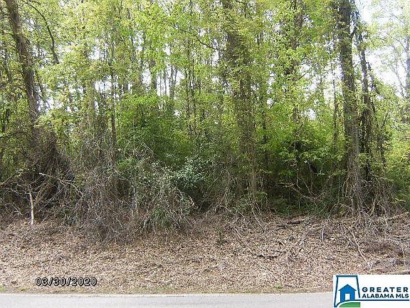 2nd image of 450 Marshall Ave Lot 1.000